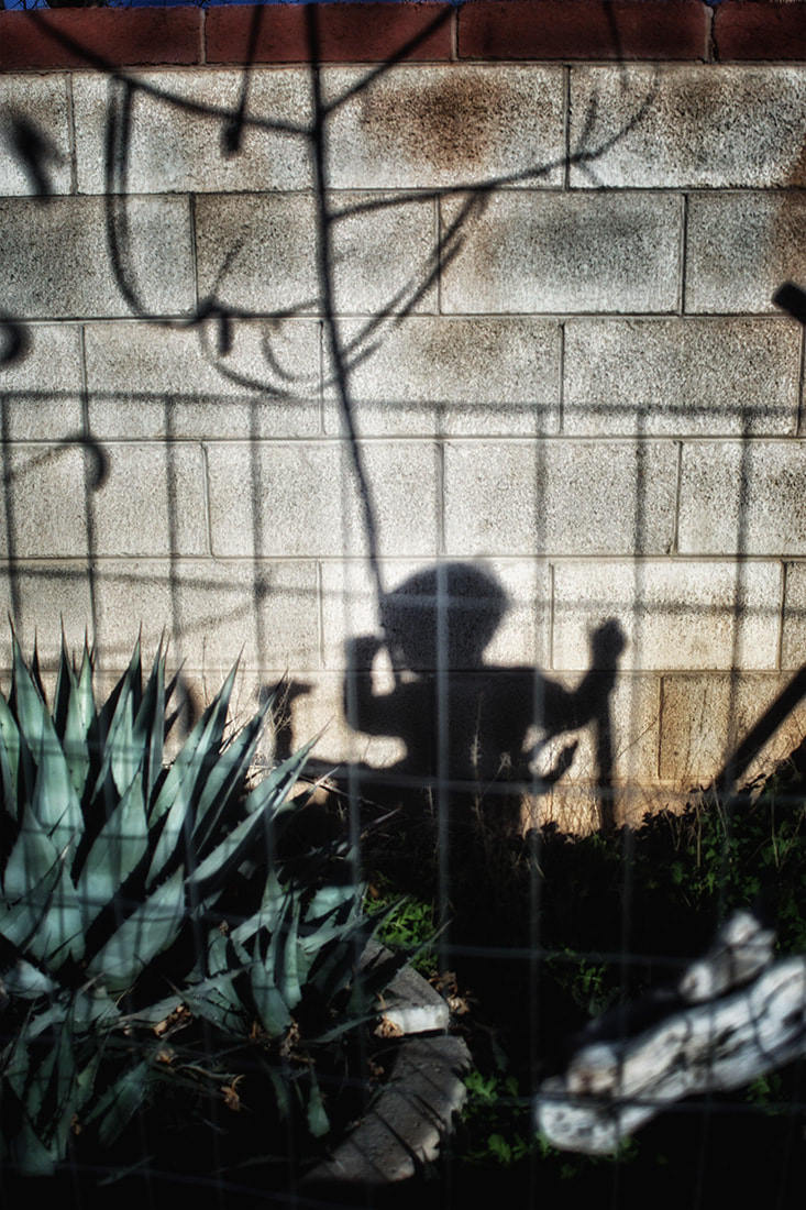 child shadow with fence and cacti
