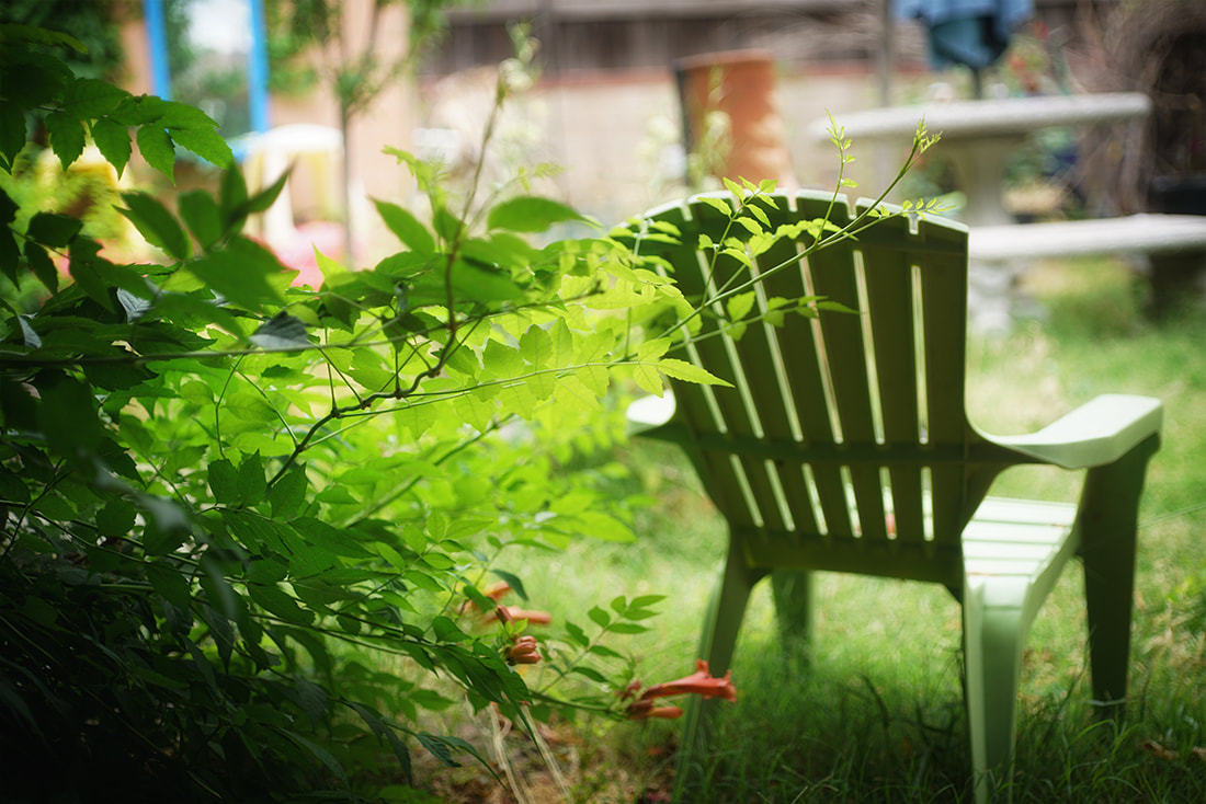 green chair with trumpet vine