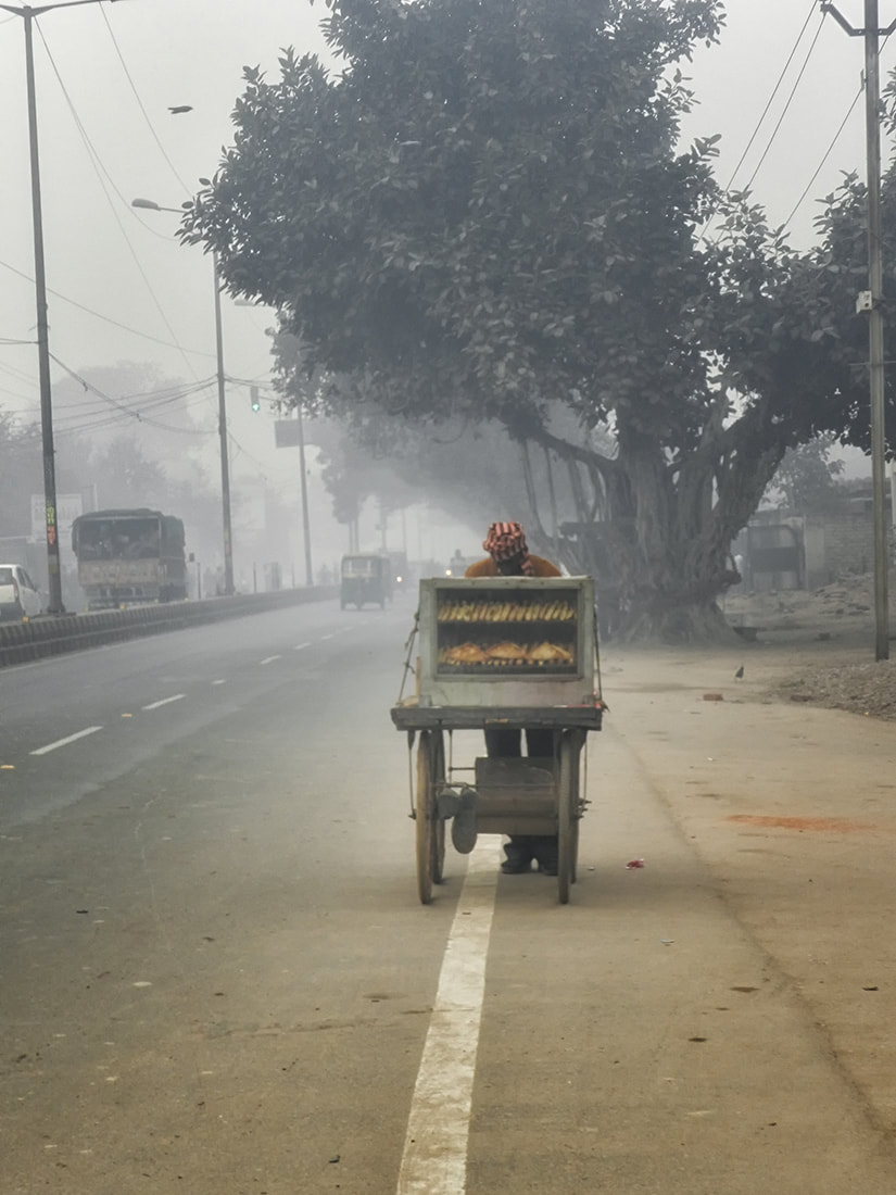 Street Vendor Pushes Cart in Fog Along Highway, Agra, India